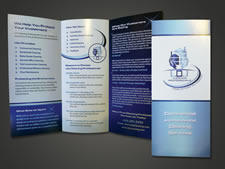 LDJ Cleaning Professionals | Brochure | Aurora IL